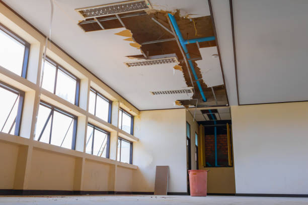 Best Carpet water damage restoration  in Dawson, GA
