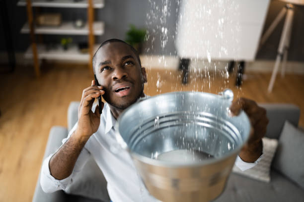 Best Flooded house restoration  in Dawson, GA