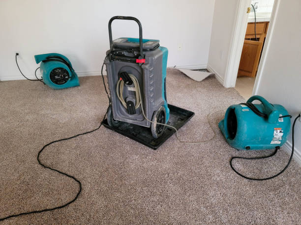 Best Water damage contractors near me  in Dawson, GA