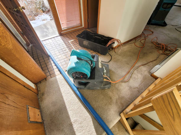 Water damage restoration insurance claims in Dawson, GA