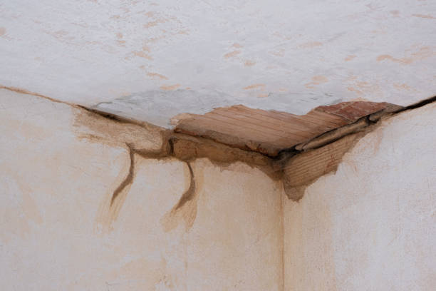 Water damage restoration mold remediation in Dawson, GA