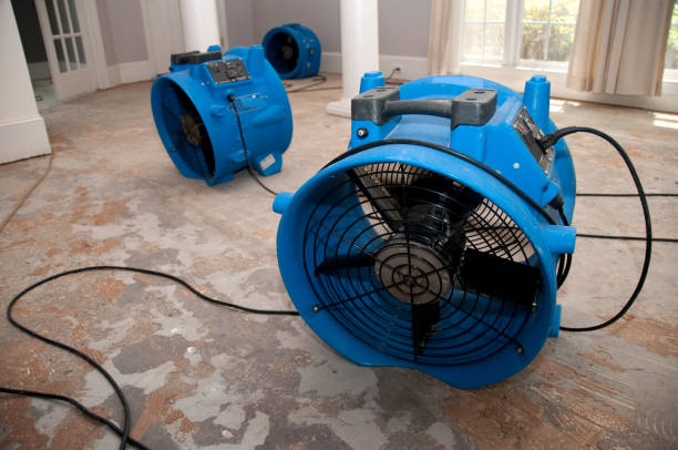 Best 24-hour water damage restoration  in Dawson, GA