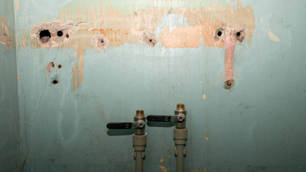 Reliable Dawson, GA Water damage restoration Solutions