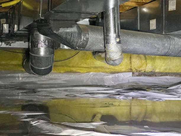 Best Flood restoration services  in Dawson, GA