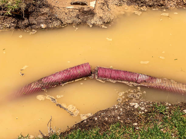 Best Residential water damage restoration  in Dawson, GA