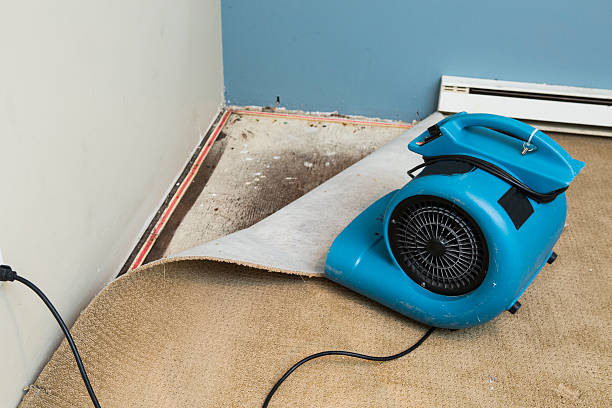Best Water damage restoration near me  in Dawson, GA